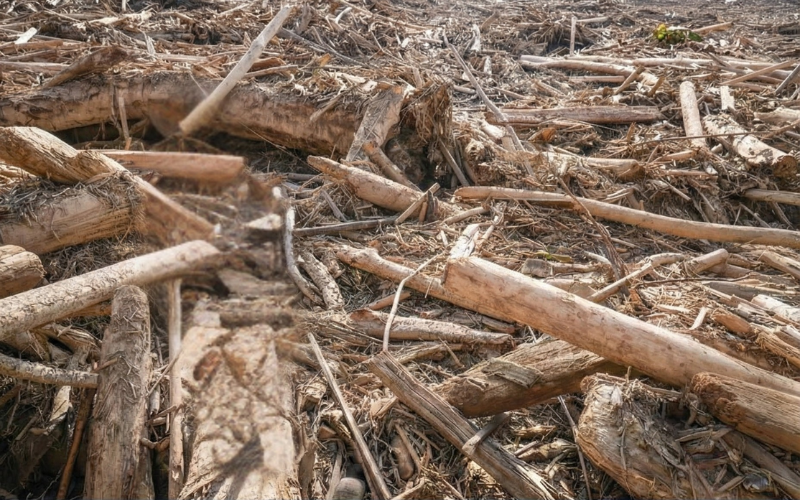 Banjir Pesantren Darul Mukhlisin - Foto 1